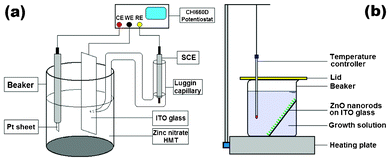 Schematic diagrams of experimental devices for (a) aqueous electrodeposition and (b) aqueous chemical growth methods.