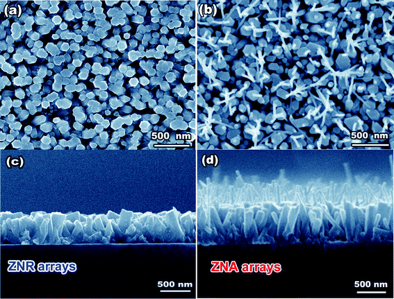 (a, b) Top-view and (d) cross-section SEM images of the ZNR arrays and ZNA arrays.