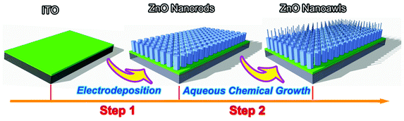 Schematic diagram of preparation procedure for the ZNA arrays via a facile two-step synthesis strategy based on an aqueous electrodeposition and an aqueous chemical growth.