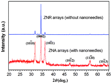 Typical XRD patterns of the ZNR arrays and ZNA arrays, respectively.