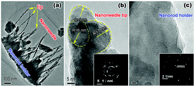 (a) Low-magnification TEM image of the ZNA arrays, (b) HRTEM image and SAED pattern of nanoneedle tip of the ZNAs, and (c) HRTEM image of nanorod holder of the ZNAs.