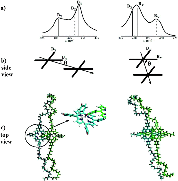 (a) Energy shift of the transition dipole moments in the aggregates of P-trans-OH (left) and of P-trans-Et (right) (the dotted lines represent the transitions with out-of-phase transition moments); (b) sketch of the porphyrin arrangement in a dimer; (c) porphyrin dimer structure obtained by optimization with MM+ calculations; the zoom of the P-trans-OH dimer structure indicates (with dashed lines) the average distance N⋯H between the nitrogen atoms of the porphyrin core and the hydrogen of the OH group of the adjacent macromolecule (about 0.28 nm).