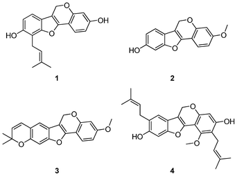 Erypoegin H (1), Lespedezol A1 (2) and their congeners (3 and 4).