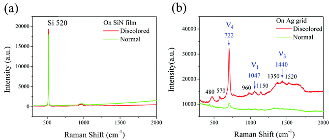 Raman spectra of the discolored and normal regions on the (a) SiN film and (b) silver grid.