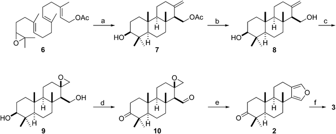 Synthesis of 2 and 3 from epoxy-polyprene 6. (a) Cp2TiCl2 (0.2 equiv.), Mn (8 equiv.), Me3SiCl (4 equiv.), 2,4,6-collidine (7 equiv.), THF, rt, 12 h, 36%; (b) K2CO3, MeOH, 5 °C, 3 h, 85%; (c) MCPBA, DCM, 5 °C, 2 h, 95%; (d) Dess–Martin periodinane, rt, 5 h, 99%; (e) p-TsOH; DCM–DMSO, 50 °C, 6 h, 73%; (f) ref. 10, 1 step, 75%.