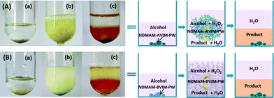 Photographs of the solvent-free oxidation of benzyl alcohol with H2O2 over (A) NAM-AVIM-PW and (B) NAM-BVIM-PW: (a) catalyst (light brown solid at bottom) and alcohol (liquid) before mixing; (b) during the reaction after adding H2O2; (c) at the end of the reaction.