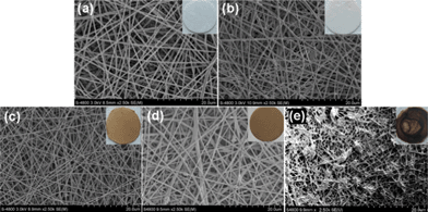 SEM images of various scaffolds: (a) PLGA, (b) PLGA-10% QDs, (c) PLGA-10% MNPs, (d) PLGA-50% MNPs and (e) PLGA-deposit MNPs. Photographs of each kind of scaffold are added as insets in the corresponding SEM images.