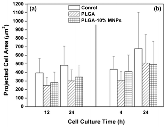 Projected cell area in control (white column), PLGA (strip column) and PLGA-10% MNPs scaffolds (grid column) groups for (a) Ros17/2.8 cells and (b) MC3T3-E1 cells. Osteoblast cells cultured on different groups were stained by FDA at different culture times and the projected cell areas were measured using software (Image-Pro Plus Version 6.0.0.260).