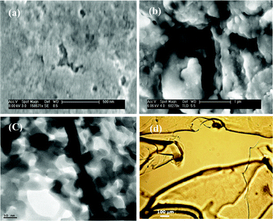 (a) SEM image of the polymer gel (without nanotube) and (b) the nanogel (PSG2), (c) HR-TEM image of the nanogel (PSG2) and (d) optical microscope image of the nanogel (PSG2).