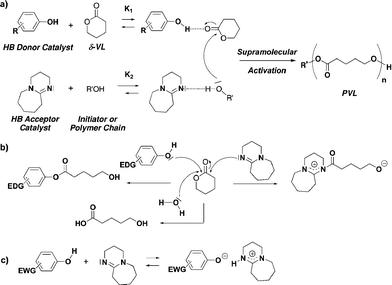 a) Proposed mechanism for the ROP of lactones catalyzed by H-bonding systems (phenol 1–3 + DBU) in presence of an alcohol initiator. b) Possible nucleophilic attack of catalysts and a water molecule on monomer. c) Potential acido-basic reaction between catalysts.