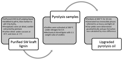 Summary of the experimental procedure.