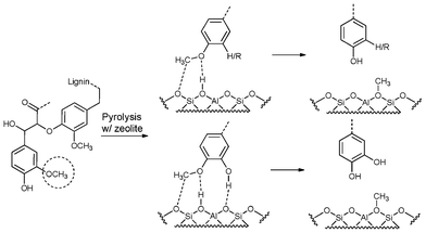 The reported possible degradation pathway of methoxyl groups on the surface of zeolite.38,45,46