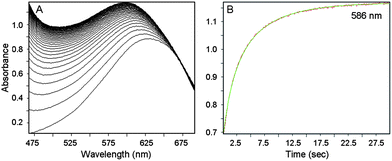 (A) Stack plot showing the UV-Visible spectra of the reaction of 1.36 mM CoIIIIH22bim + 2.10 mM tBu3ArO˙, showing the appearance of CoIIIIIIHbim (and the remaining tBu3ArO˙). (B) Absorbance at 586 nm over 30 s (in red), superimposed with the second-order fit (in green).