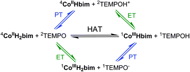 Possible pathways for reaction (4). HAT is thermodynamically favoured over initial PT or ET.