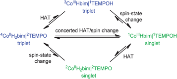 Three possible mechanisms for spin-forbidden HAT.