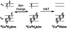 Changes in the occupation of the cobalt d orbitals for the pathway of spin change followed by hydrogen atom transfer.