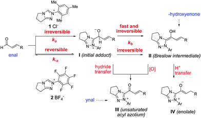 A proposed theory and mechanistic probes.