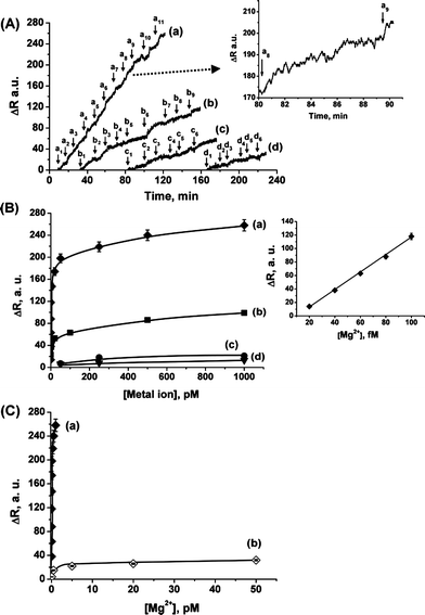 (A) Sensograms corresponding to the reflectance intensities changes of the Mg2+-imprinted Au NPs matrix, at θ = 63.5°, upon the addition of variable concentrations of: (a) Mg2+: (a1) 20, (a2) 40, (a3) 60, (a4) 80, (a5) 100 fM, and (a6) 2, (a7) 5, (a8) 20, (a9) 50, (a10) 100, (a11) 250 pM. (b) Ca2+: (b1) 80, (b2) 100 fM, and (b3) 2, (b4) 5, (b5) 20, (b6) 50, (b7) 100, (b8) 250, (b9) 500 pM. (c) Sr2+: (c1) 50, (c2) 100, (c3) 250, (c4) 500 pM, and (c5) 1, (c6) 5 nM. (d) Ba2+: (d1) 50, (d2) 100, (d3) 250 pM, and (d4) 1, (d5) 5, (d6) 50 nM. The inset shows a magnification of one concentration of the sample analyzed. (B) Calibration curves relating the reflectance changes to the concentrations of (a) Mg2+, (b) Ca2+, (c) Sr2+ and (d) Ba2+, on the Mg2+-imprinted matrix. The inset shows the lower concentration region of the Mg2+ calibration curve. (C) Calibration curves relating the reflectance changes to the concentrations of Mg2+ on: (a) the Mg2+-imprinted, and (b) the non-imprinted matrices (the non-imprinted electropolymerization was performed in a 10 mM tetrabutylammonium acetate solution, pH = 6.2). Reflectance changes values presented in the calibration curves were taken after 6 min of measurement. All measurements were performed in triply-deionized water. Error bars correspond to a set of N = 5 measurements.