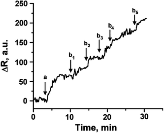 Sensogram corresponding to the reflectance intensities changes of the Ba2+-imprinted Au NPs matrix, at θ = 63.5°, upon the addition of: (a) Mg2+, Ca2+ and Sr2+, 10 pM, each, and upon the subsequent addition of Ba2+ ions: (b1) 60, (b2) 600 fM, and (b3) 1.2, (b4) 2, (b5) 3 pM. All measurements were performed in triply-deionized water.