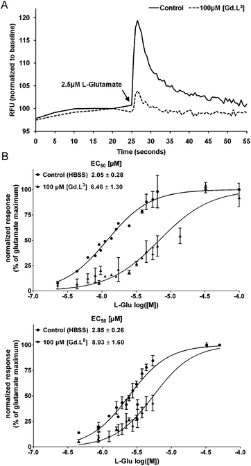 Assays for glutamate-receptor function for [Gd.L33] and [Gd.L88]. The presence of [Gd.L33] or [Gd.L88] decreases glutamate-induced calcium transients. Primary astrocytes were grown in poly-d-lysine-coated 96 well plates for 10–15 days in DMEM, which was changed to glutamine-free DMEM the day before the calcium assay. (A) Representative fluorescence recordings (normalized to the average of 20 s baseline) of a control well vs. a well pre-treated with 100 μM [Gd.L33] for at least 15 min showing the antagonistic effect of [Gd.L33] on the glutamate induced calcium transient. (B) The shift in the concentration of glutamate that gives a response half-way between the bottom and top of the fitting curve (i.e.EC50) to a higher concentration after pre-treatment of cortical primary astrocytes with [Gd.L33] or [Gd.L88]. Curves were generated from at least three independent experiments and were calculated for each condition using data normalized to the maximum obtainable change in calcium and nonlinear regression analysis. Data points represent means ± SEM. [HBSS: Hanks' Balanced Salt Solution].