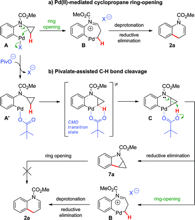 Proposed mechanisms for the Pd(0)-catalyzed formation of dihydroquinoline 2a.