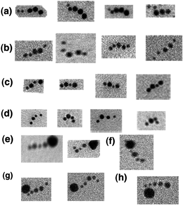 
            TEM images showing the output of the transducer. In each of these TEM images, the answers established by the chelator tiles attached to the TX computation tiles are visualized. (a) Division of 21 by 3. Note the two small circular objects preceding the three larger ones yielding a binary answer of 00111 (7 decimal). (b) Division of 18 by 3. The binary answer is 00110 (6 decimal). (c) Division of 15 by 3. The binary answer is 0101 (5 decimal). (d) Division of 12 by 3. The binary answer is 0100 (4 decimal). (e) Division of 15 by 3 with the end marked. The end-marker is a 15 nm gold nanoparticle. (f) Division of 12 by 3 with the start marked. (g) Division of 18 by 3 with the start marked. (h) Division of 21 by 3 with the start marked.