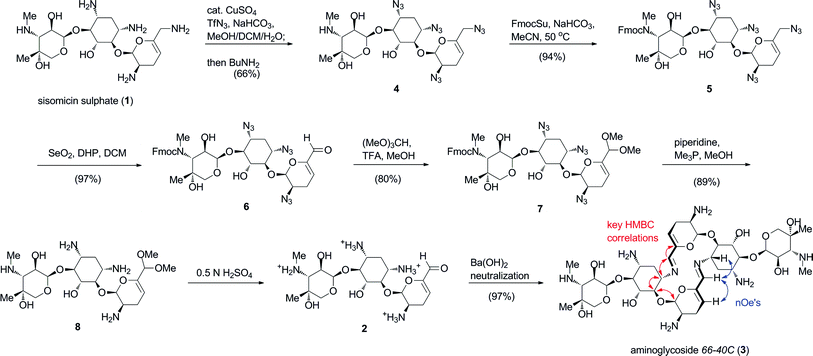 Synthesis and biomimetic self-assembly of aminoglycoside66-40C (3) by neutralization of an aqueous solution of aldehyde 2. Characteristic HMBC and nOe correlations that revealed the macrocyclic structure are shown in red and blue arrows, respectively.