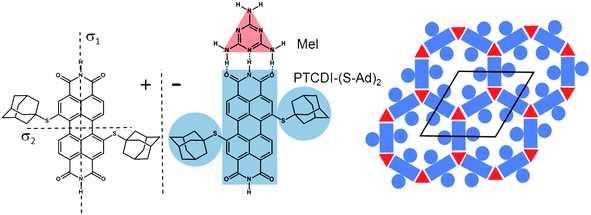 Mirror images (±) of the structure of 1,7-di(adamantanethio)perylene-3,4:9,10-tetracarboxylic diimide, (Ad-S)2–PTCDI, and the motif of the hydrogen bonding between the PTCDI derivative and melamine (Mel). The bimolecular network with the adamantyl-functionalised pores is shown on the right together with the unit cell.