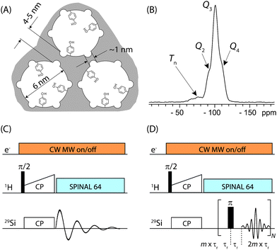 (A) Schematic drawing of the structure of the hybrid material (I) used here. (B) DNP enhanced 1H-29Si CP/MAS spectrum of I impregnated with a 12 mM aqueous TOTAPOL solution. The Tn [(R)n(OSi)4 − n] and Qn [(OSi)n(OR)4 − n] sites are labelled on the spectrum. (C) The CP pulse sequence utilized to acquire the MAS 1H-29Si CP/MAS NMR spectra. (D) The CP/CPMG pulse sequence utilized to acquire the 1H-29Si CP/CPMG MAS NMR spectra. τr is the rotor period and m and N are integers.