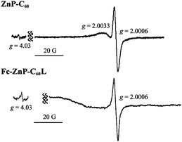 Electron-paramagnetic-resonance spectra of irradiated then cooled ZnP-C60 and Fc-ZnP-C60L in 3.0 × 10−4 M benzonitrile solutions in the dark at 77 K, revealing the presence of ZnP˙+ (at g = 2.0033) and C60˙− (at g = 2.0006) as well as triplet-coupled spins (at g = 4.03).