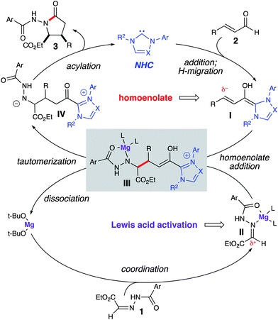 Proposed pathway for homoenolate addition to hydrazones