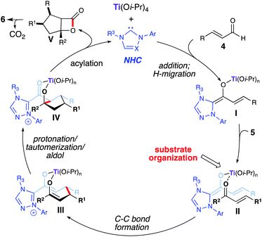 Proposed pathway for homoenolate annulation with chalcones