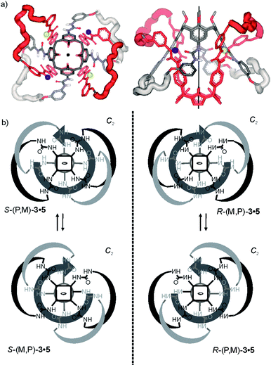 a) Top and side views of energy minimized hydrogen bonded capsuleS-(M,P)-3·5, non-chemically equivalent urea NHbprotons in the calix[4]pyrrole hemisphere are shown as yellow and purple balls and the C2 axis is indicated as a line; b) dynamic equilibria involving the two enantiomeric pairs of cyclodiastereoisomers of 3·5, the C2 axis and the directionality of the hydrogen-bonded belt are indicated.