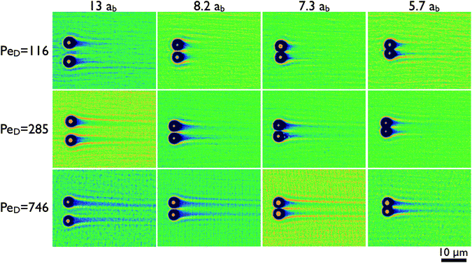 Microstructure of the bath suspension is organized into two dimensional representations of the time-averaged bath particle density for four probe particle separations and three velocities. The columns represent the probe separations given in terms of the bath particle hydrodynamic radius. The rows are the Péclet numbers defined by eqn (1). Dark colors indicate regions depleted of bath particles, while bright regions have an excess above the average bath suspension density. The bright dot at the center of each depleted region is the position of the probe particle.