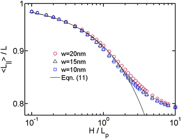 Projected contour length as a function of the relative slit height. The symbols with different colors correspond to the simulations using different chain widths. The solid line is calculated from eqn (11).