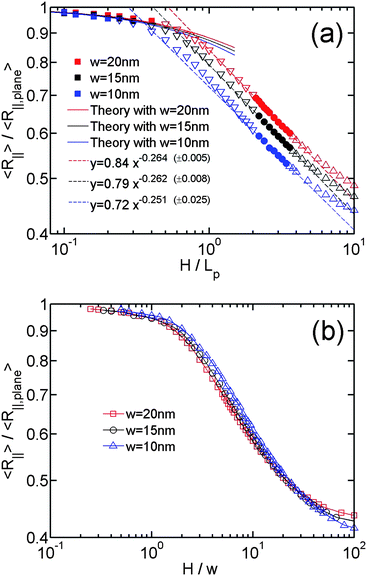 (a)Relative in-plane radius of gyration as a function of the relative slit height. The symbols with different colours correspond to the simulations using different chain widths, listed as #5, #6 and #7 in Table 1. The filled squares, inverse triangles, triangles correspond to the data points in non-self-crossing, self-crossing and weak confinement regimes, respectively. The filled circles correspond to the data points in both the de Gennes and extended de Gennes regime. The solid lines correspond to theoretical prediction from eqn (16). The dashed lines correspond to the best power-law fits to the data points in both the de Gennes and extended de Gennes regimes. The values in parentheses, e.g. (±0.005), refer to the uncertainties of the exponents from the fits. The uncertainties for the prefactors are 0.84 ± 0.05, 0.79 ± 0.01 and 0.72 ± 0.02, respectively. (b) same data with (a) but H is normalized by w.