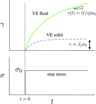 The material strain γ(t) from an applied step stress σ0 for a viscoelastic liquid and viscoelastic solid.