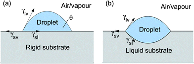 Wetting on (a) rigid and (b) liquid substrates as described by Young and Neumann, respectively.