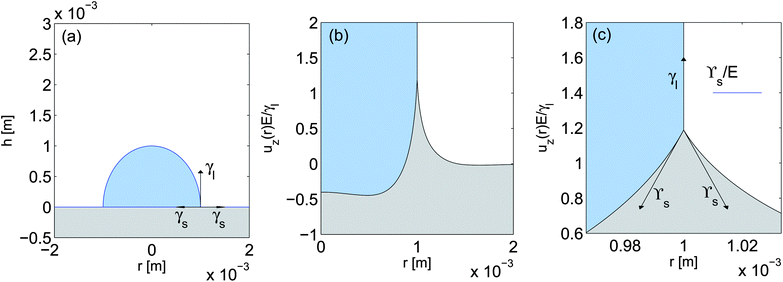 Substrate deformation for a hemispherical 1 mm radius droplet of water on an incompressible elastic substrate of thickness h = 0.5 mm with ϒs = 0.05 N m−1 and E = 3 kPa. (a) Macroscopic view. (b) Substrate displacement underneath the droplet. Here, the vertical axis is scaled by γl /E. (c) Close up of the tip of the wetting ridge, with Neumann's triangle superimposed.