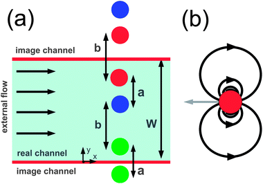 Geometric construction of the “dimer column” fixed point. In (a), three real particles are accompanied by an infinite set of virtual particles, the closest of which are at y = −a/2, y = W + b/2, and y = W + b/2 + a. These quantities are related by 3(a + b) = 2W. Each of the real and virtual particles is identical, resembling the particle shown in (b), moving in −x with respect to the local flow field and contributing components of velocity in positive x to the local flow fields of the other particles. The gray vector shows the velocity of a particle with respect to the local flow, while the black streamlines illustrate the dipolar disturbance field thus created. Because this configuration is one dimensional, the angular dependence of the dipolar form is not relevant here.