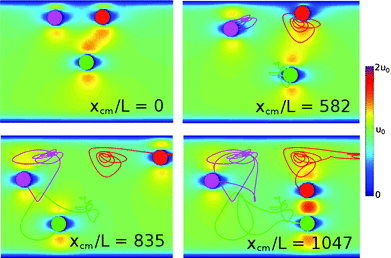 Snapshots of simulation results for a metastable steady “triangle” configuration with Re = 0.2 and W/L = 8 at four values of the cluster center of mass xcm. Particle motion, initially limited to small excursions from the initial positions, grows in magnitude until the magenta and green particles pair. Ultimately, the red and green particles escape together. Colors indicate the magnitude of the fluid velocity.