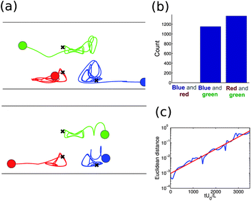 (a) Particle motion in the center of mass frame for two realizations of a metastable three particle configuration with W/L = 8, as determined by integration of the theoretical model. The two realizations differ by slight noise in the initial particle positions. A random perturbation uniformly distributed over the interval [−0.0125L,0.0125L] is applied to the x and y positions of each particle. The green (middle) particle pairs and escapes with either the red (left) particle, as shown in the first panel, or the blue (right) particle, as shown in the second panel. (b) Distribution of escape pathways for the three particle configuration. Bins are labeled by which two particles pair. For each trajectory, the initial particle positions are given a random perturbation, as in (a). The escape outcome is sensitive to this perturbation. (c) Euclidean distance Δ2(t) ≡ ∑i[(xi,A(t) − xi,B(t))2 + (yi,A(t) − yi,B(t))2] between the two realizations (trajectories in phase space) in (a) as a function of dimensionless time, where i indexes the three particles, and A and B label the two trajectories. For some initial transient period, both trajectories are bound as three particle configurations and diverge exponentially in phase space, Δ ∼ eΛU0t/L, with a Lyapunov exponent of Λ = 0.00185.