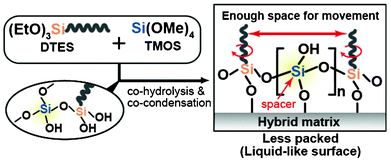 Conceptual scheme of this study.