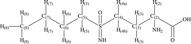 The schematic structure of BSO with the carbon and hydrogen atoms numbered.