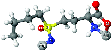 The [Ag2(BSO)] complex optimized structure obtained by B3LYP/DFT using LANL2DZ(Ag) and 6-31(d,p). The PCM model was used to simulate the water effect on the geometric optimizations.