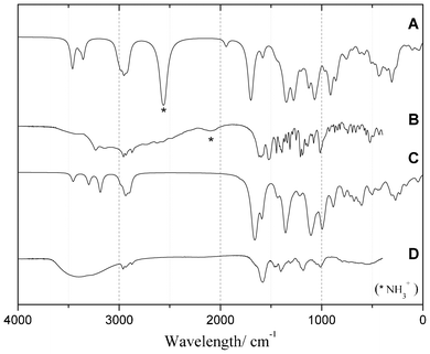 Simulated infrared spectra of (A) BSO and (C) [Ag2(BSO)]. The experimental spectra of (B) BSO and (D) [Ag2(BSO)] are presented for comparison.