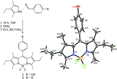 Left: synthesis of 1; right: crystal structure of 1 as derived from the X-ray analysis (thermal ellipsoid plots are drawn at the 30% probability level).