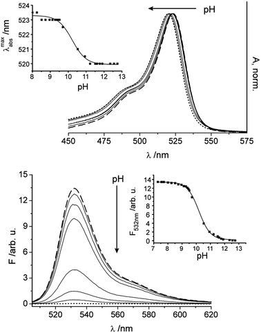 Dependence of the absorption and fluorescence of 1 on a change in pH from 7.3–12.8 upon addition of aq. KOH solutions (λex = 495 nm, c1 = 1.39 × 10−6 M, EtOH–H2O); the spectrum at pH 7.3 corresponds to the dashed line, the spectrum at pH 12.8 to the dotted line; and selected intermediate steps shown as solid lines. Insets show the corresponding titration curves when plotting the shift of the absorption maximum (top) and the fluorescence intensity at the emission maximum (bottom) as a function of pH.