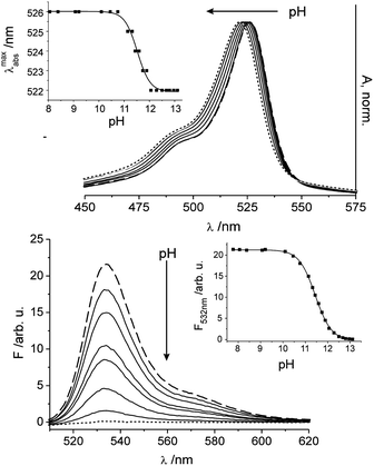 Dependence of the absorption (top) and fluorescence (bottom) spectra of a sensor film containing 1 in water on changes in pH under alkaline conditions upon addition of small amounts of an aq. KOH solution (0.1–2.0 M) with excitation at 495 nm; the spectrum at pH 8.2 corresponds to the dashed line, the spectrum at pH 13.2 to the dotted line; and selected intermediate steps shown as solid lines. Insets show the corresponding titration curves when plotting the shift of the absorption maximum (top) and the fluorescence intensity at the emission maximum (bottom) as a function of pH.