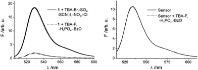 Fluorescence spectra of 1 in MeCN (left) upon addition of various anions and fluorescence spectra of the sensor film in water (right) upon addition of relevant anions H2PO4−, F− and BzO− (canion = 7.5 × 10−6 M).